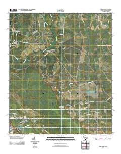 Pineland 2011 topographic map thumbnail