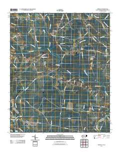 Pireway 2011 topographic map thumbnail