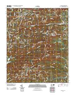 Saluda 2011 topographic map thumbnail