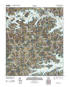 Reed Creek 2011 topographic map thumbnail