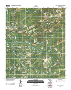Maple Cane Swamp 2011 topographic map thumbnail