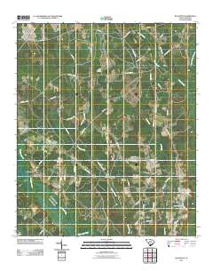 Islandton 2011 topographic map thumbnail