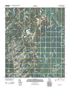 Rincon 2011 topographic map thumbnail