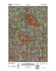 Saddle Mountain 2011 topographic map thumbnail