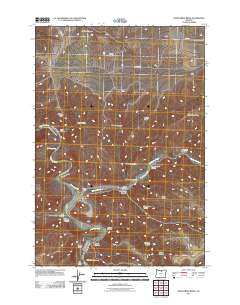 Shoestring Ridge 2011 topographic map thumbnail