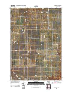 Rosebush 2011 topographic map thumbnail