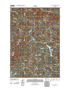 Trask Mountain 2011 topographic map thumbnail