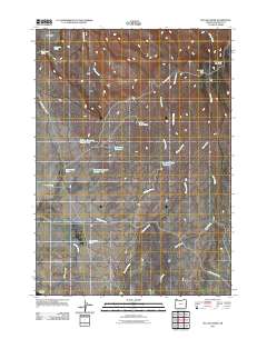 McCain Creek 2011 topographic map thumbnail