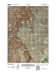Mosquito Mountain 2011 topographic map thumbnail