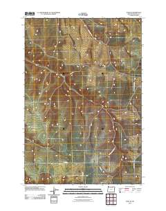 Echo SE 2011 topographic map thumbnail