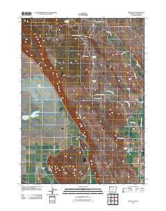 Swan Lake 2011 topographic map thumbnail