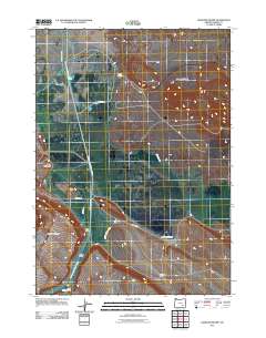 Diamond Swamp 2011 topographic map thumbnail