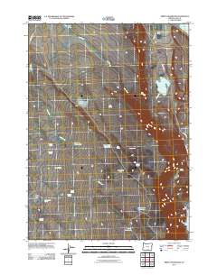 Priday Reservoir 2011 topographic map thumbnail