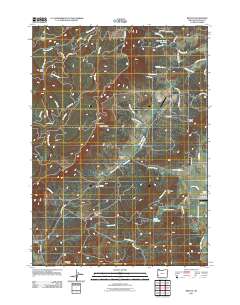 Reston 2011 topographic map thumbnail