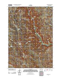 Burns NW 2011 topographic map thumbnail