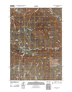 Mormon Basin 2011 topographic map thumbnail