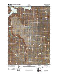 Alkali Flat 2011 topographic map thumbnail