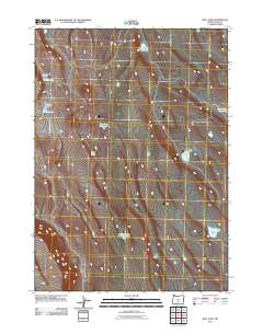 Bull Lake 2011 topographic map thumbnail