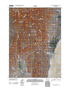 Alvord Hot Springs 2011 topographic map thumbnail