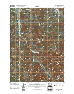 Blue Mountain 2011 topographic map thumbnail