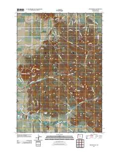 Brownsville 2011 topographic map thumbnail