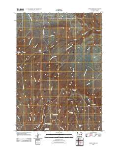 Brady Creek 2011 topographic map thumbnail