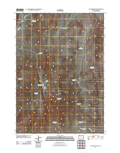Cedar Mountain 2011 topographic map thumbnail