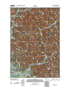 Kilchis River 2011 topographic map thumbnail