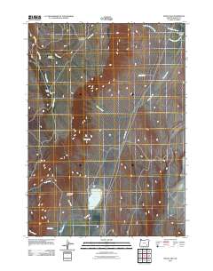 Mann Lake 2011 topographic map thumbnail
