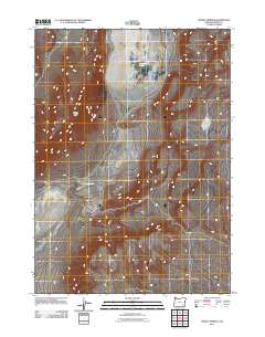 Mickey Springs 2011 topographic map thumbnail