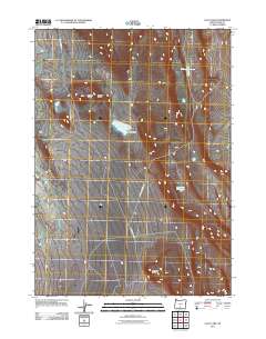 Loco Lake 2011 topographic map thumbnail