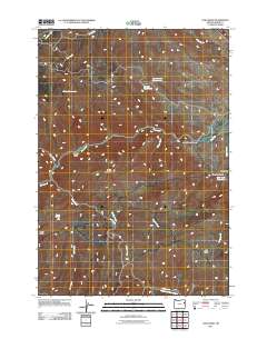 Lost Basin 2011 topographic map thumbnail