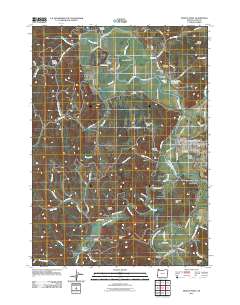 Myrtle Point 2011 topographic map thumbnail