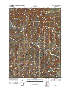 Mount Gurney 2011 topographic map thumbnail