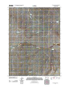 Peacock Lake 2011 topographic map thumbnail