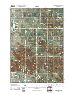 Onehorse Slough 2011 topographic map thumbnail