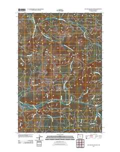 Necanicum Junction 2011 topographic map thumbnail