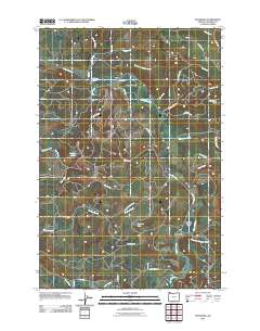 Pittsburg 2011 topographic map thumbnail