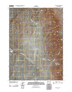 Rincon Flat 2011 topographic map thumbnail