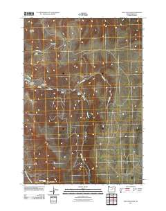 Steet Mountain 2011 topographic map thumbnail