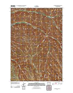 Skinners Fork 2011 topographic map thumbnail