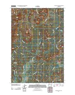 Soapstone Lake 2011 topographic map thumbnail
