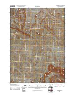Soldiers Cap 2011 topographic map thumbnail