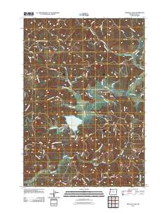 Triangle Lake 2011 topographic map thumbnail