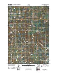 Warnicke Creek 2011 topographic map thumbnail
