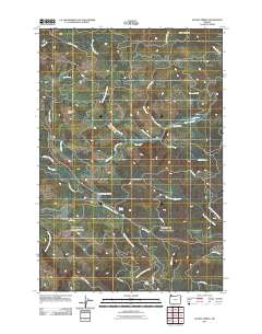 Sunset Spring 2011 topographic map thumbnail