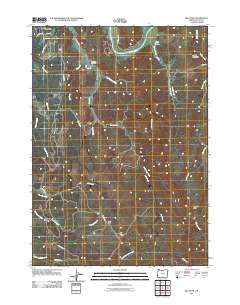Bill Peak 2011 topographic map thumbnail