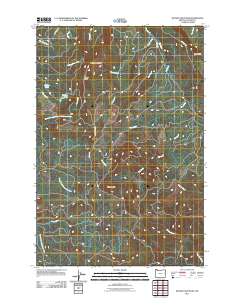Wickiup Mountain 2011 topographic map thumbnail