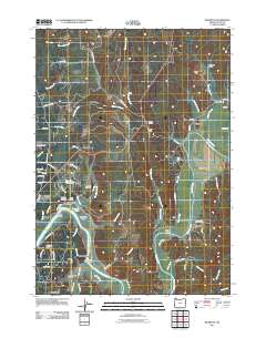 Riverton 2011 topographic map thumbnail