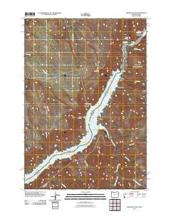 Brownlee Dam 2011 topographic map thumbnail